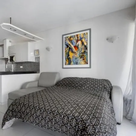 Hyper Centre Plages Et La Croisette A Pied Apartment